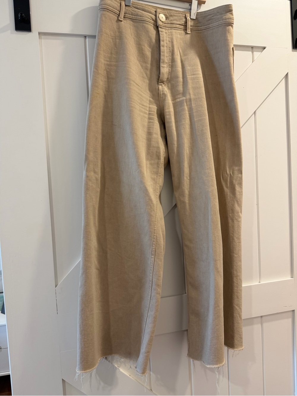 Zara Wide-Leg Pants
